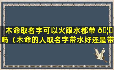 木命取名字可以火跟水都带 🦁 吗（木命的人取名字带水好还是带 🐎 火好）